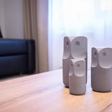 Apartamento Dandelion Bruninieku *