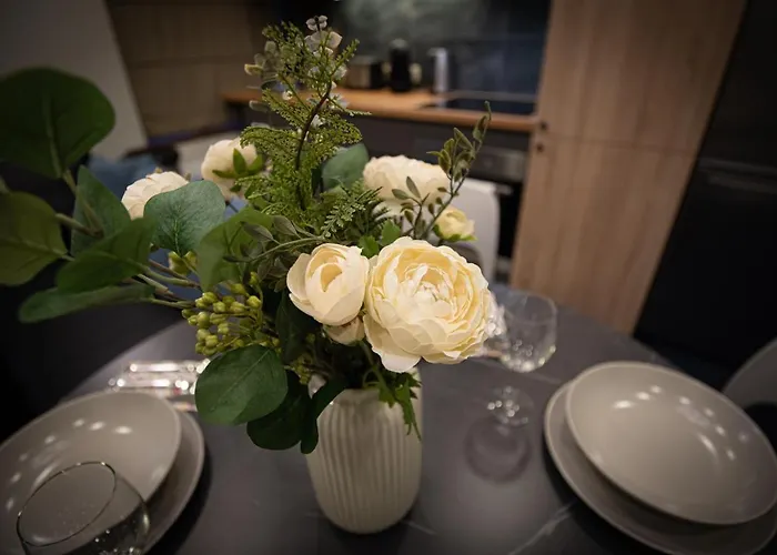 Dandelion Bruninieku Appartement *