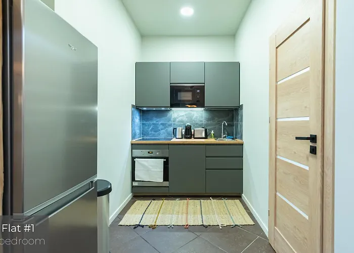 Apartment Dandelion Bruņinieku Riga